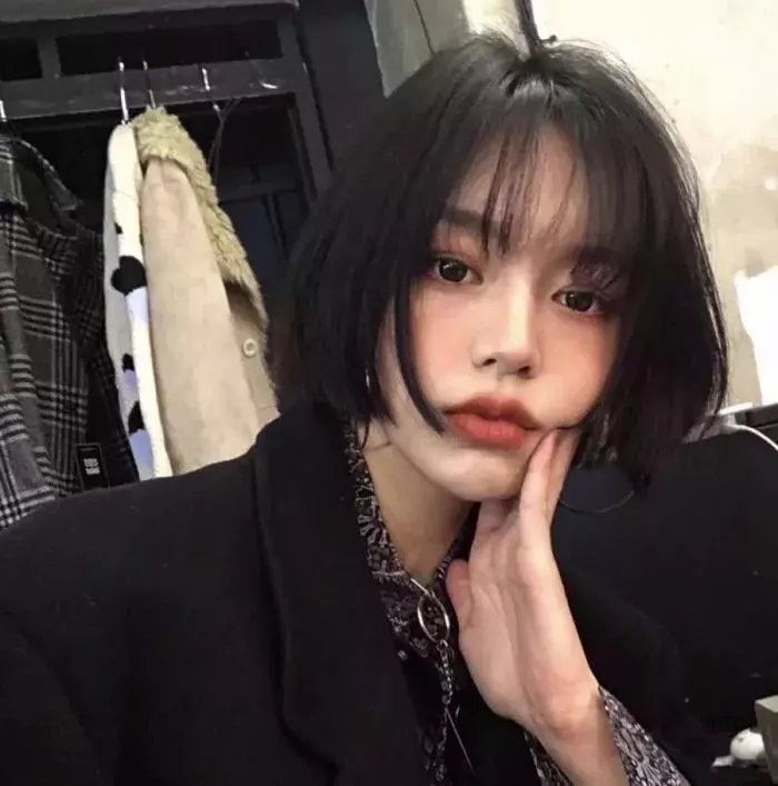 礼貌社会