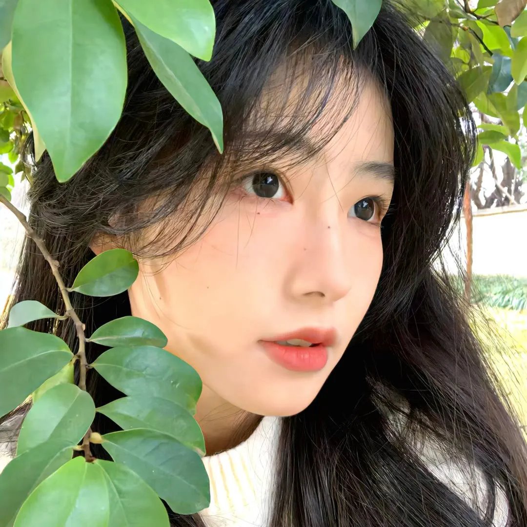 佛陀传